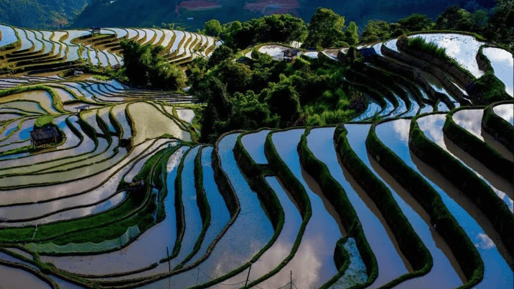 Scenic view of Hoang Su Phi during the water filling season
