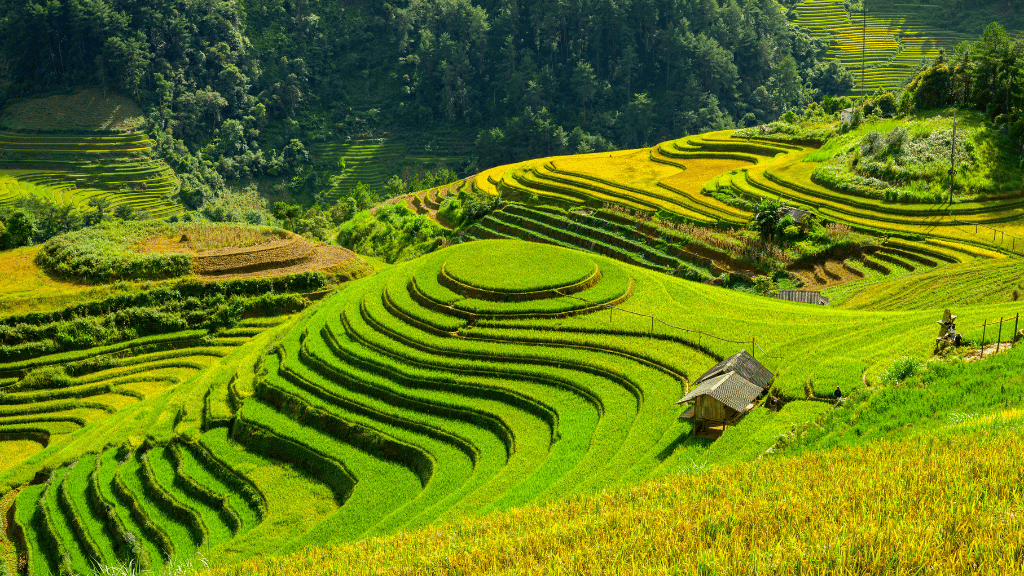 Panoramic view of Mam Xoi Hill in Mu Cang Chai, northern Vietnam