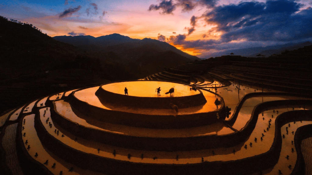 Panoramic view of Mu Cang Chai’s terraced rice fields and mountains