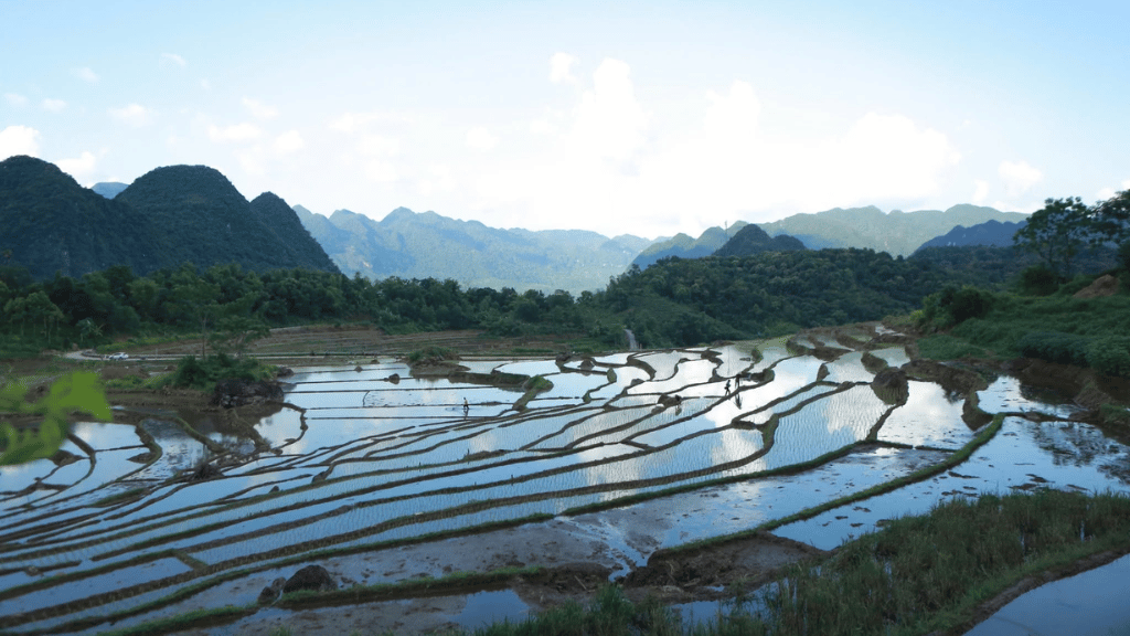 A peaceful view of Pu Luong’s terraced rice fields