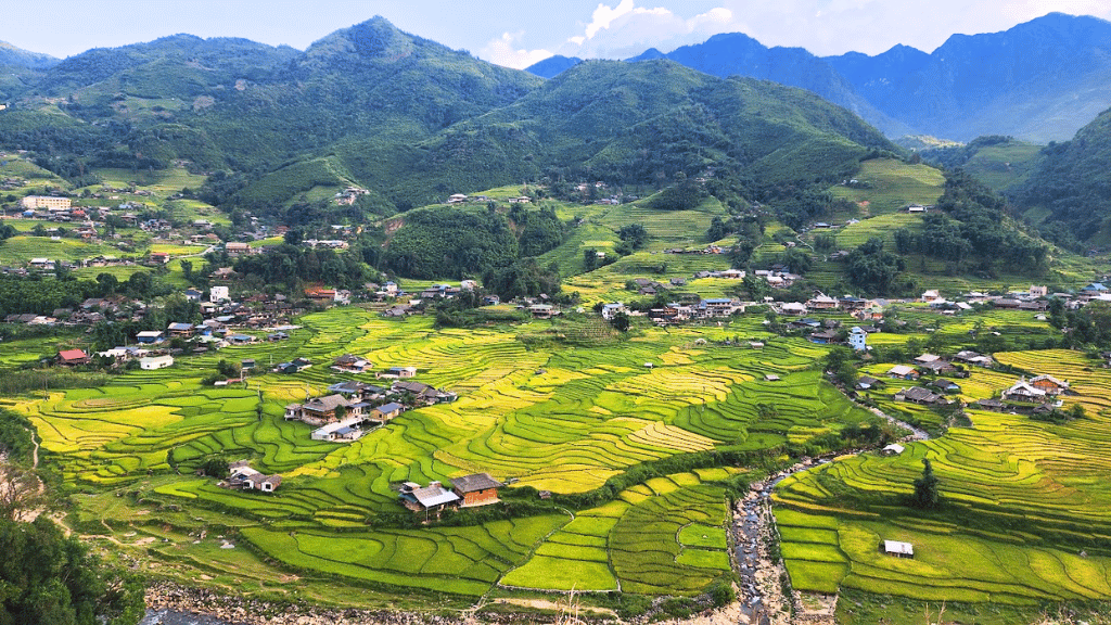 Aerial panorama of Muong Hoa Valley and terraced rice fields in Vietnam