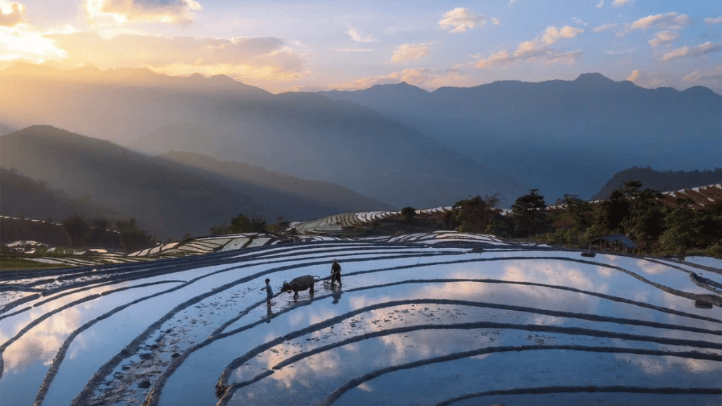 Water-filled terraced rice fields surrounded by mountains in Sapa