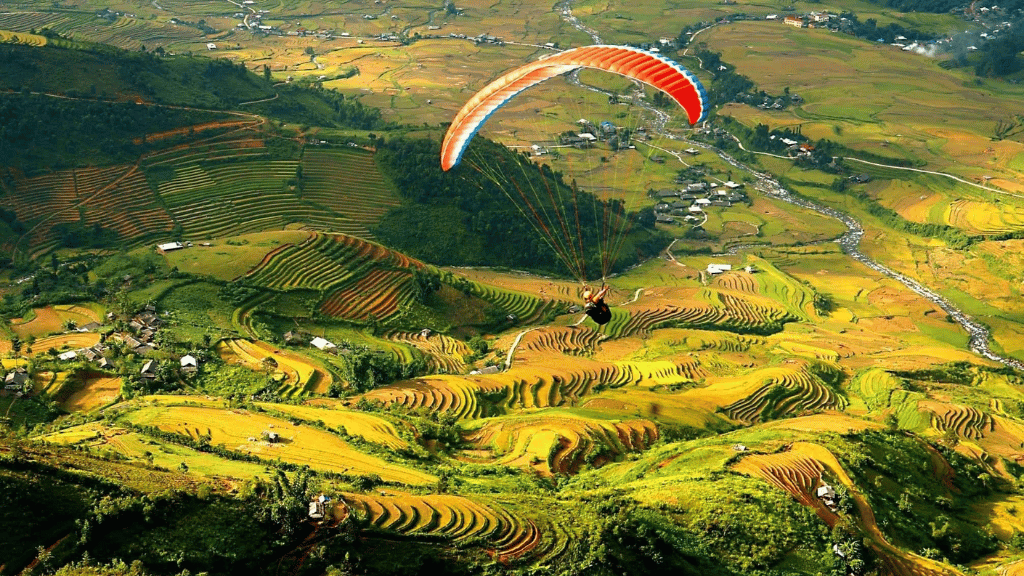 Paragliding over Vietnam’s golden rice terraces