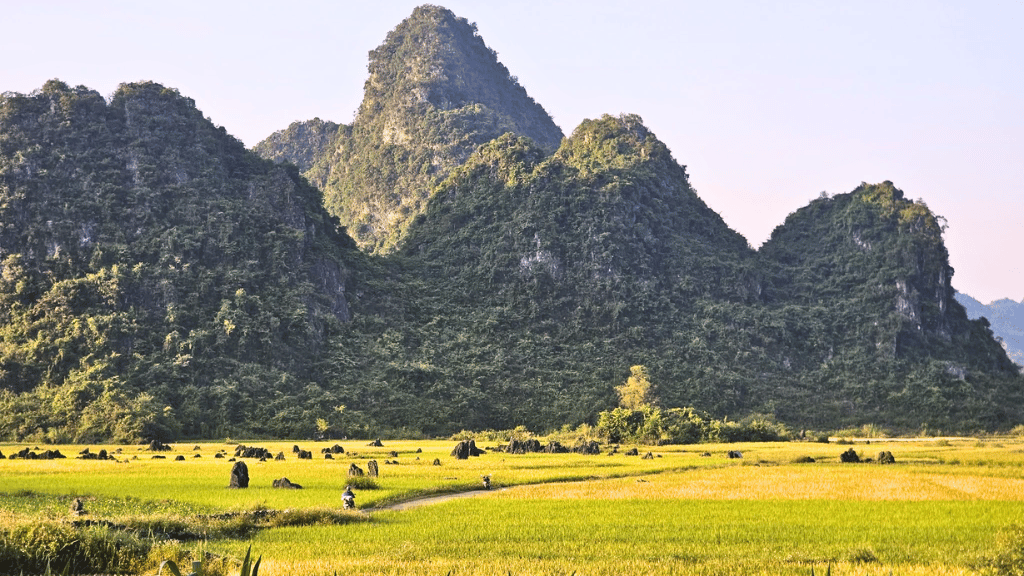 Ngoc Con's natural landscape changing with the seasons