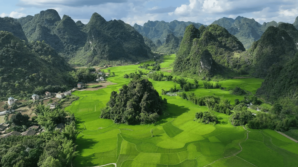 Panoramic view of Ngoc Con Valley from the hills